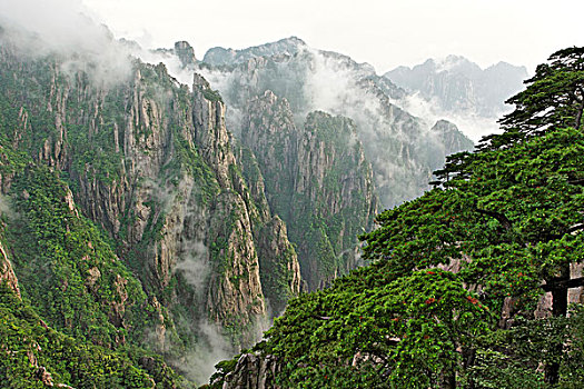 哪里有卖强效昏睡的药C1B8D97C5-18975